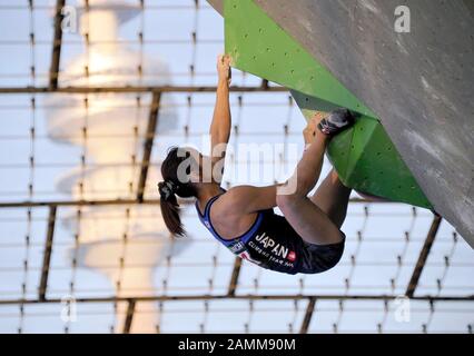 Akiyo Noguchi alla finale della Coppa del mondo IFSC Bouldering 2016 nello Stadio Olimpico di Monaco. [traduzione automatizzata] Foto Stock