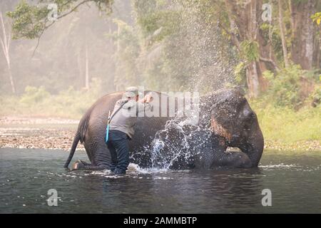 Un uomo mostra la riproduzione con un elefante in un fiume di Sangkhlaburi, Kanjanaburi, Thailandia Foto Stock