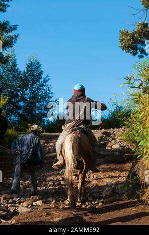 Giro turistico di una casa al Monte Bromo vulcani, Java Orientale, Indonesia. Foto Stock