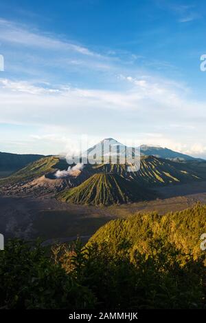 Monte Bromo vulcani in bromo Tengger Semeru National Park, Java Orientale, Indonesia. Foto Stock