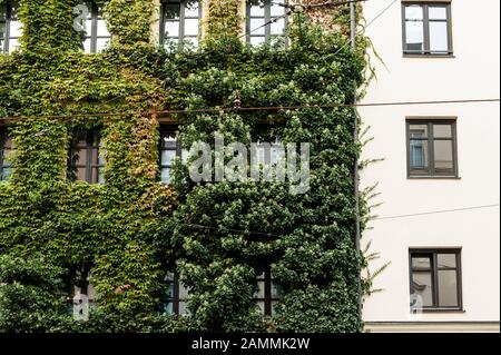 Impressioni Da Monaco-Haidhausen. Il distretto appartiene alla circoscrizione di Monaco-Mitte, dove i Verdi hanno vinto il 42,5 per cento dei voti nelle ultime elezioni statali. Green House façade sulla Wiener Strasse Interna [traduzione automatizzata] Foto Stock