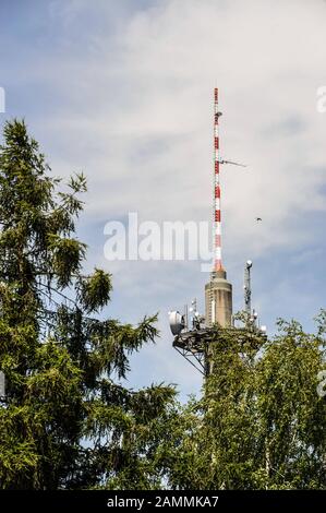 Albero di trasmissione del telefono cellulare a Widderstraße in Markt Schwaben. [traduzione automatizzata] Foto Stock