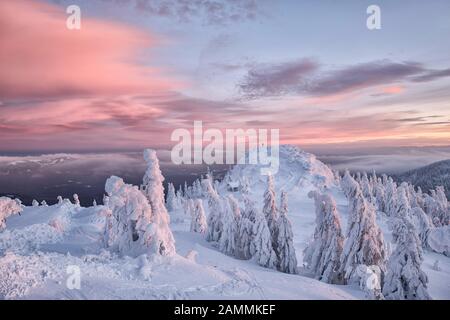 Vista dalla cima dell'Großer Arber nella Foresta Bavarese. Arbermandl è il nome dato alle strutture che formano vento, ghiaccio e neve dagli alberi. [traduzione automatizzata] Foto Stock