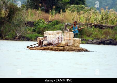 Persone Che Trasportano il divano su barca papiro sul lago Tana, Etiopia. Foto Stock