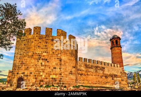 Castello Di Erzurum In Turchia Foto Stock