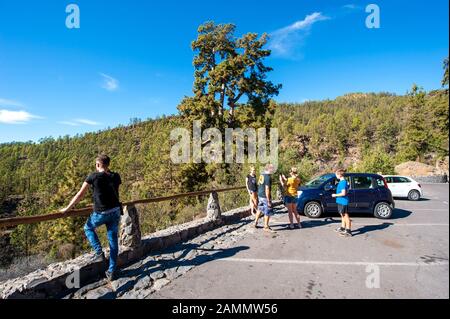 Tenerife, SPAGNA - 24 dicembre 2019: Turistico vicino all'albero Pino Gordo sull'isola delle canarie Tenerife. L'albero ha centinaia di anni e 45 metri di altezza. Foto Stock