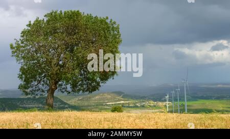 Bellissimo paesaggio autunnale, albero solitario sotto cielo nuvoloso, turbine eoliche in rotazione Foto Stock