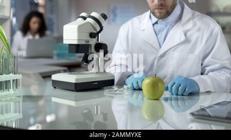 Scienziato che guarda il campione di mela da laboratorio, controlla la reazione chimica, la qualità degli alimenti Foto Stock