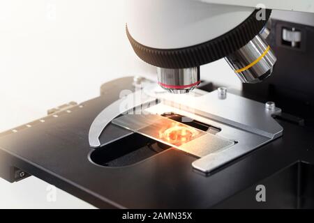 lente di microscopio composto con vetrino per campioni medici in laboratorio scientifico sfondo bianco Foto Stock