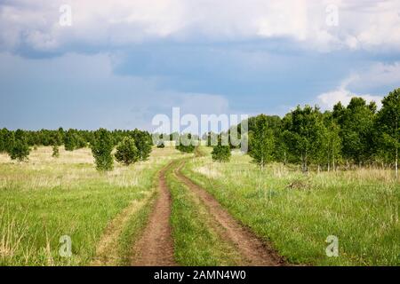 Campo strada sterrata tra i campi e giovane crescita di birches sotto basse tuoni. Concetto di viaggio in bicicletta o a piedi. Foto Stock