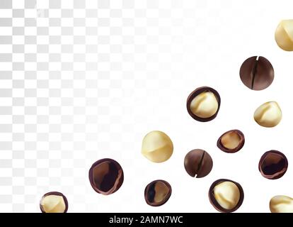 Dado macadamia realistico 3D isolato su sfondo trasparente. Noci di Macadamia sgusciate e sgusciate. Macadamia organica. Bella illustrazione. Foto Stock