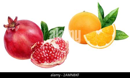 Frutti d'arancia melograno composizione acquerello isolato su sfondo bianco Foto Stock