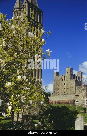 Rochester Castle & cattedrale, Medway, Kent, England, Regno Unito Foto Stock