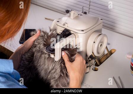 master professionale nella produzione di abbigliamento da pelliccia. Donna couturier alla macchina da cucire. Il processo di cucito di vestiti di pelliccia. Co. Pelliccia designer Foto Stock