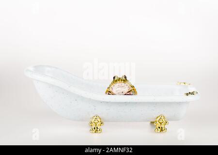 crema verde carina in una piccola e lussuosa vasca da bagno isolata su bianco Foto Stock