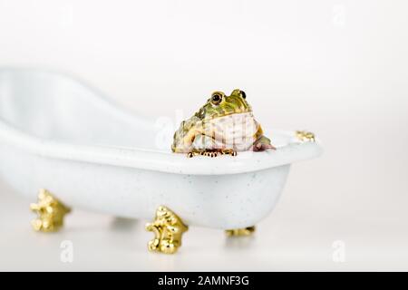 crema verde carina in una piccola e lussuosa vasca da bagno isolata su bianco Foto Stock