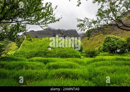 Hof, la chiesa dell'Islanda, l'ultima costruzione in tradizionale stile turf, il tetto dell'edificio Hofskirkja coperto di erba verde con finestra Foto Stock