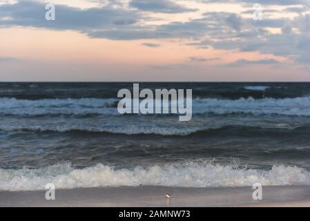 Tramonto scuro a Santa Rosa Beach, Florida vicino alla costa di Pensacola in panhandle con il golfo del Messico onde che si infrangono sulla spiaggia di sabbia e uccello Sanderling Foto Stock