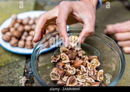 Closeup di noci pecan crude cracked pile ingrediente foraged mano che mette in autunno su piastra in conchiglie Foto Stock