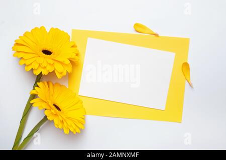 Due fiori di gerbera di colore giallo e bianco carta carta sul tavolo bianco, Foto Stock