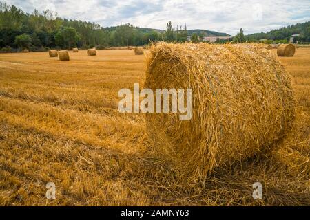 Balle di paglia in un campo raccolto. Aguilar De Campoo, Provincia Di Palencia, Castilla Leon, Spagna. Foto Stock