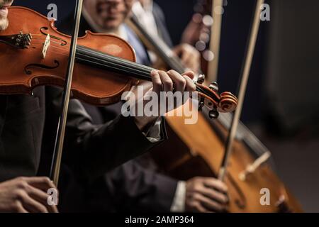 Orchestra d'archi sinfonica professionale che si esibisce sul palco e suona un concerto di musica classica, violinista in primo piano Foto Stock