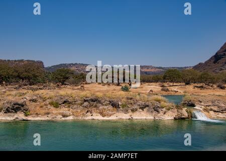 Cascata del fiume e stagno a Wadi Darbat vicino Salalah Foto Stock