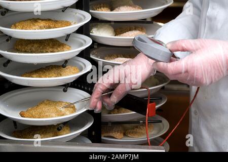 La sicurezza alimentare ispettore utilizzando una sonda termometro per misurare la temperatura del cibo. Foto Stock