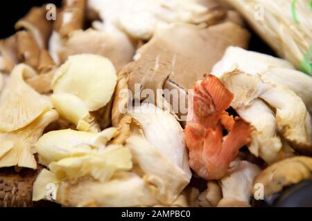 Close-up shot di una raccolta di vari funghi selvatici. Foto Stock