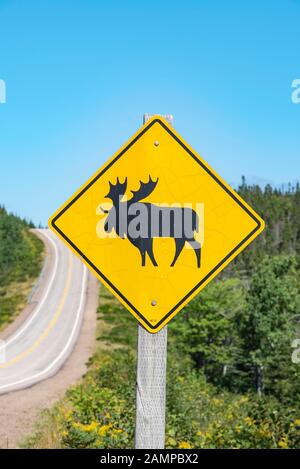 Il cartello stradale avverte di attraversare alci, Cabot Trail, Cape Breton Highlands National Park, Nova Scotia, Canada Foto Stock