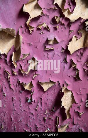 Grunge peeling viola vernice sfondo texture. Foto Stock
