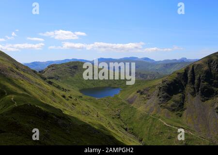 Vista Su Grisedale Tarn E La Catena Montuosa Di Helvellyn, La Foresta Di Grisedale, Il Lake District National Park, Cumbria, Inghilterra Foto Stock