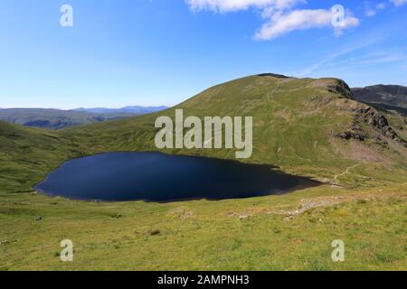 Vista Su Grisedale Tarn E La Catena Montuosa Di Helvellyn, La Foresta Di Grisedale, Il Lake District National Park, Cumbria, Inghilterra Foto Stock