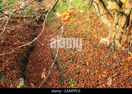 Durach è una città in Baviera, Germania, Europa Foto Stock
