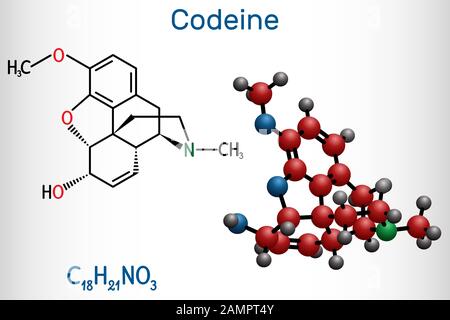 Codeina, molecola analgesica oppioide. Viene usato come agente analgesico centrale, sedativo, ipnotico, antinocicettivo, antististaltico. Chimica strutturale Illustrazione Vettoriale