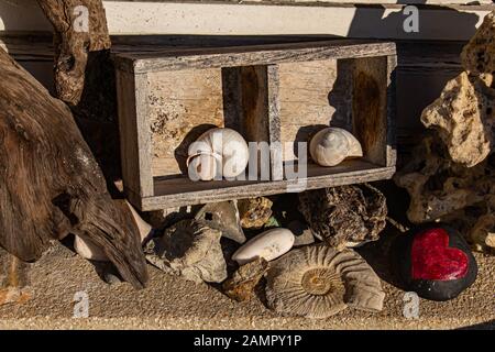 piccola mensola in legno con conchiglie di lumaca che vi si posano, tra pietre, driftwood e fossili. Un cuore rosso dipinto su una pietra nera. Foto Stock