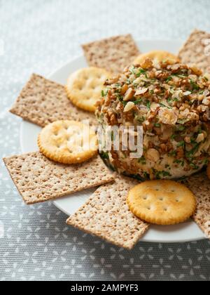 Fatto in casa cheddar vegano con dadi, servita con cracker. Foto Stock