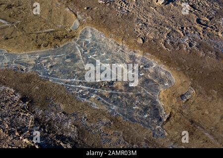 Pozza ghiacciata con bolle d'aria su una strada sterrata in inverno Foto Stock