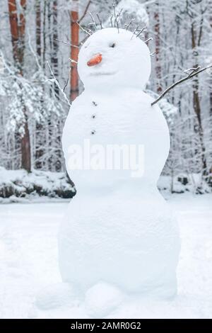 Mosca, Russia - 11 gennaio 2020: Un grande pupazzo di neve con bastoni invece di mani e una carota invece di un naso in piedi in una foresta Foto Stock