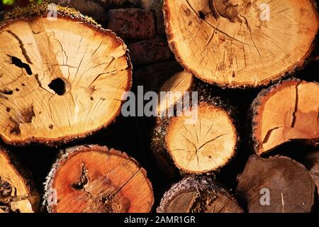 Tronchi di albero appena tagliati e impilati pronti per il camino invernale. Tronchi di legno come sfondo. Foto Stock