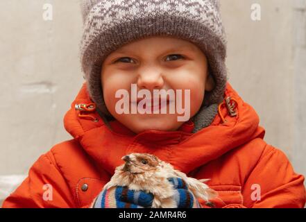 I bambini che detengono un pollo di quaglia. Un piccolo bel ragazzo abbracci e bacia un piccolo pollo Foto Stock