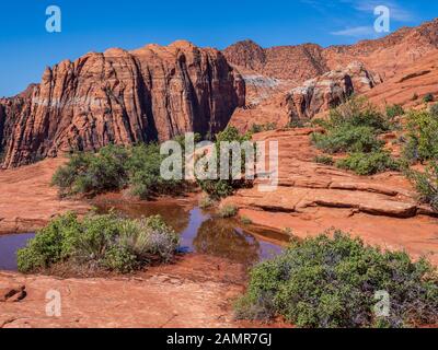 Buca riempita con acqua, pietrificate dune, Snow Canyon State Park, Saint George, Utah. Foto Stock