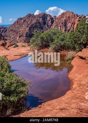 Buca riempita con acqua, pietrificate dune, Snow Canyon State Park, Saint George, Utah. Foto Stock