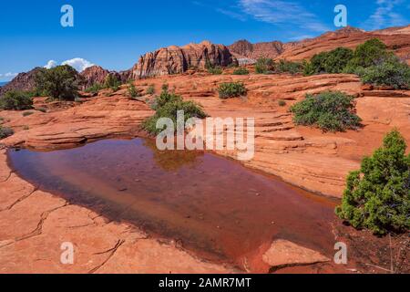 Buca riempita con acqua, pietrificate dune, Snow Canyon State Park, Saint George, Utah. Foto Stock