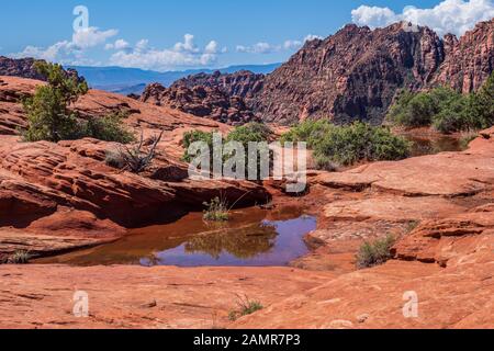 Buca riempita con acqua, pietrificate dune, Snow Canyon State Park, Saint George, Utah. Foto Stock