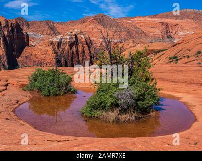 Buca riempita con acqua, pietrificate dune, Snow Canyon State Park, Saint George, Utah. Foto Stock