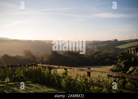 Vista dal giardino di Helston, Cornwall attraverso valli con il sole e la nebbia - Ottobre 2016 Foto Stock