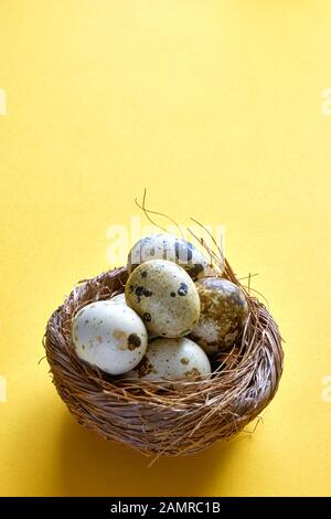 Nido di pasqua con fragile punteggiato o chiazzato uova di quaglia su sfondo giallo con copia spazio per utilizzare come sfondo di pasqua o sfondo della molla Foto Stock