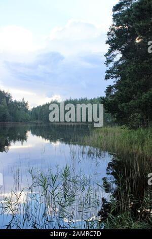 New Scenic 5 posti la natura vista con sky riflettendo dal lago tranquillo in Voikoski, Finlandia Foto Stock