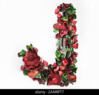 Lettera dell'alfabeto latino fatta dai fiori asciutti della rosa. Foto Stock